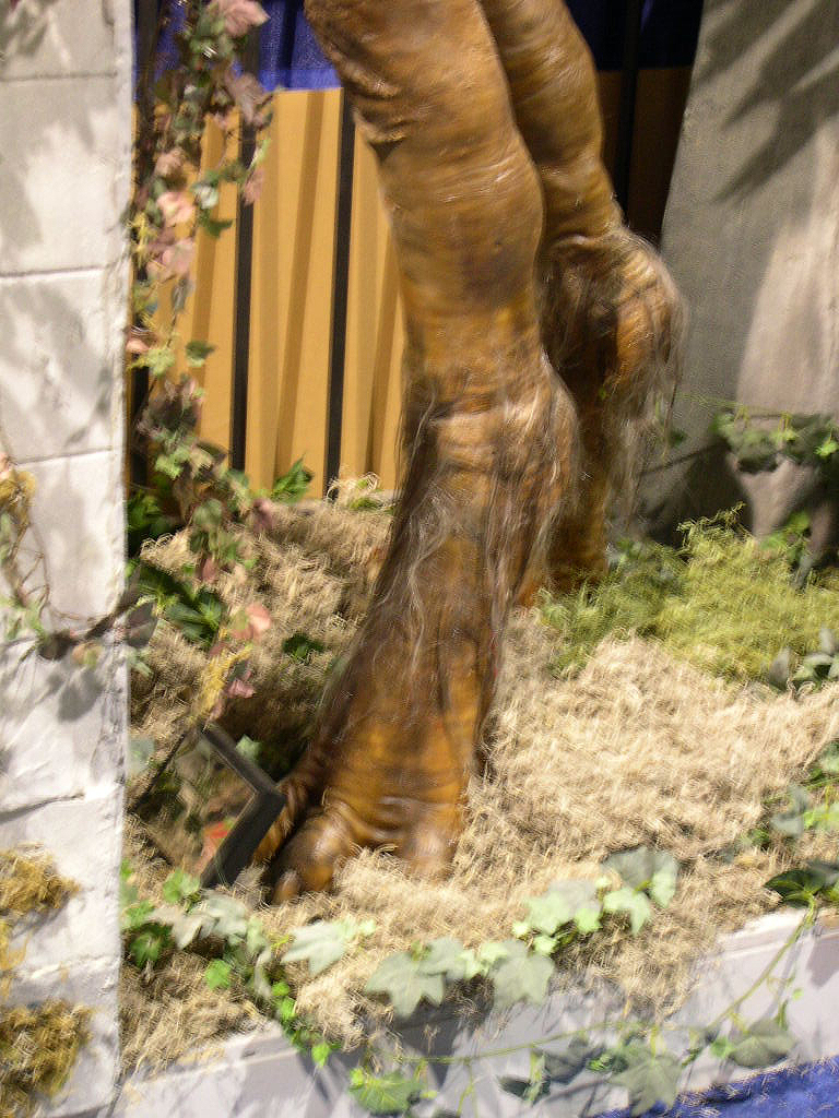 04_CC0037.JPG