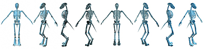 SkeletonRotation_th.jpg