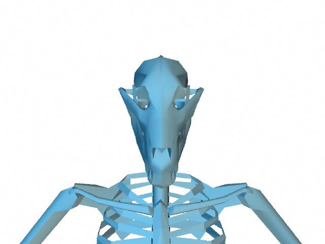 SkulFront.jpg
