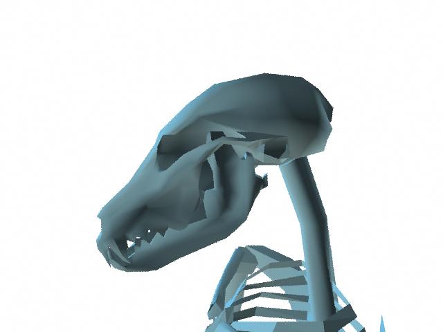 SkulSide.jpg