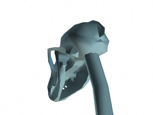 Skulback.jpg