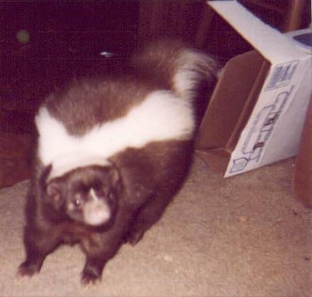 Photo of Morton